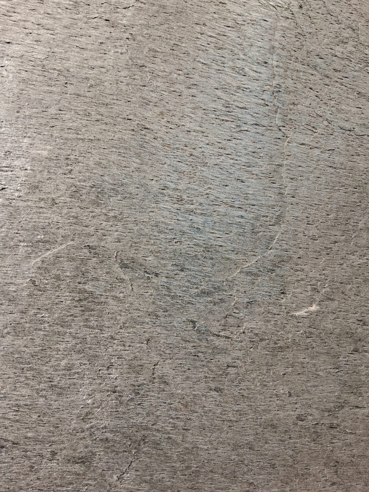 Silver Shine