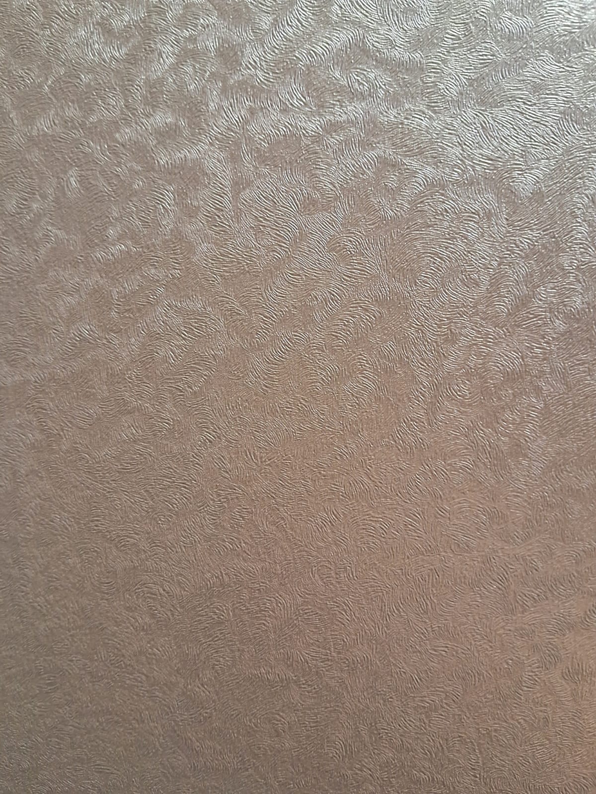 Ածխային բամբուկ